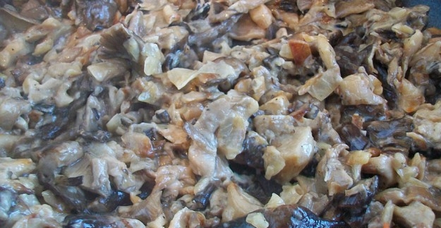 Как приготовить моховики: аппетитные рецепты грибов