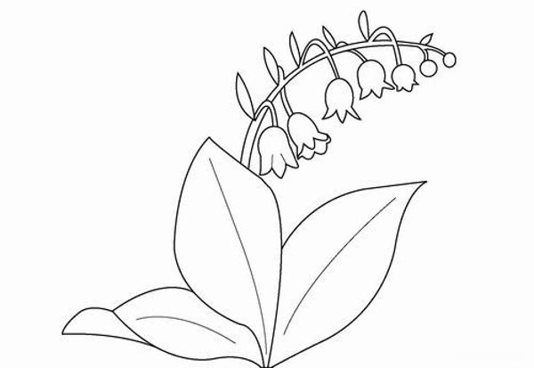 Как нарисовать растение поэтапно: уроки